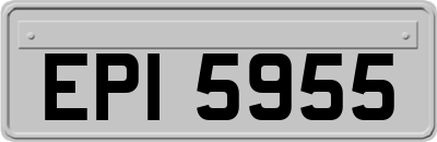 EPI5955