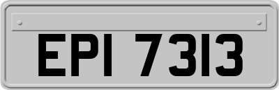 EPI7313