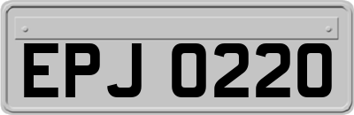 EPJ0220