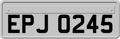 EPJ0245