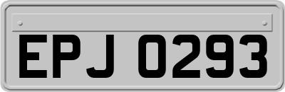 EPJ0293