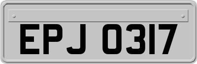 EPJ0317