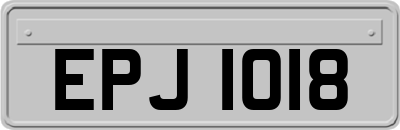 EPJ1018