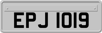 EPJ1019