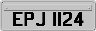 EPJ1124