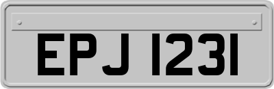 EPJ1231