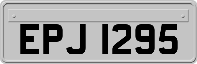 EPJ1295
