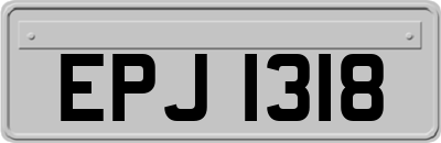 EPJ1318