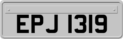 EPJ1319