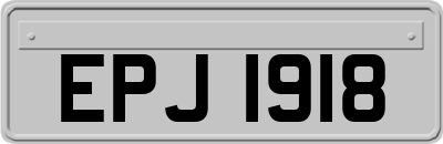 EPJ1918