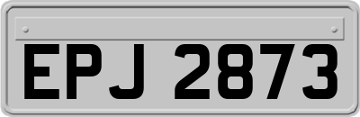 EPJ2873