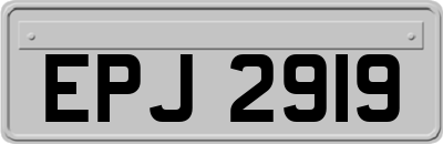 EPJ2919