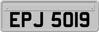 EPJ5019