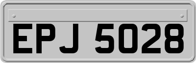 EPJ5028
