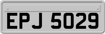 EPJ5029