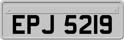 EPJ5219