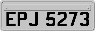 EPJ5273