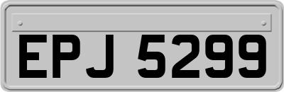 EPJ5299