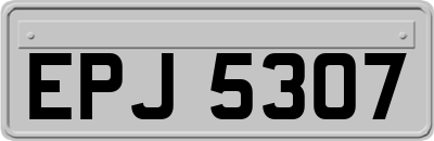 EPJ5307