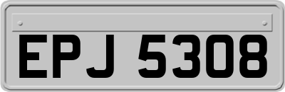 EPJ5308