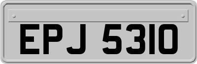 EPJ5310