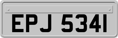 EPJ5341