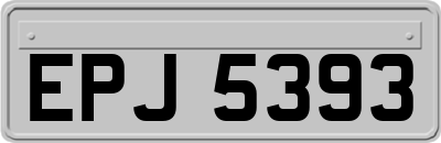 EPJ5393