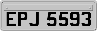 EPJ5593