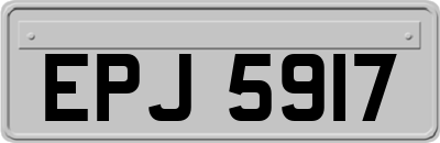 EPJ5917
