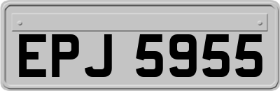 EPJ5955