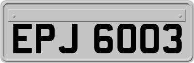 EPJ6003