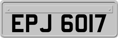 EPJ6017