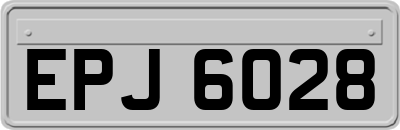 EPJ6028