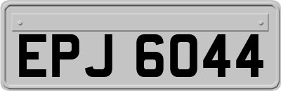 EPJ6044