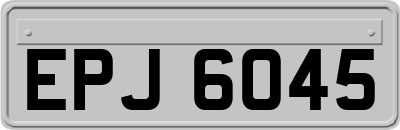 EPJ6045