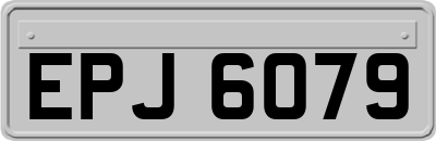 EPJ6079