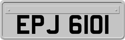 EPJ6101