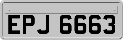 EPJ6663