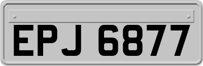 EPJ6877