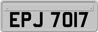 EPJ7017