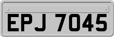 EPJ7045