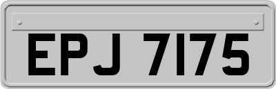EPJ7175