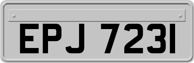 EPJ7231