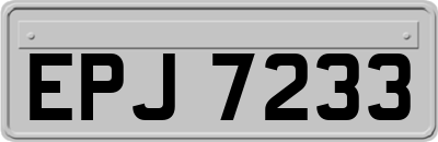 EPJ7233