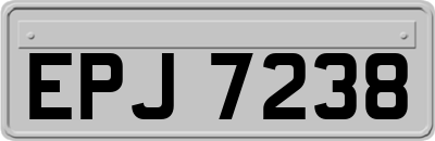 EPJ7238