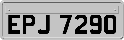 EPJ7290