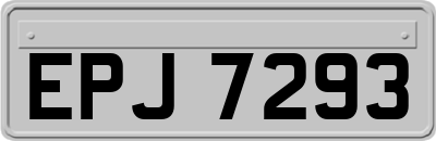 EPJ7293