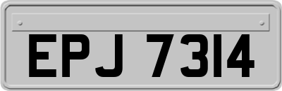EPJ7314