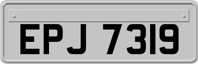 EPJ7319