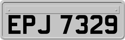 EPJ7329